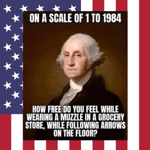 Scale of 1 to 1984 - George Washington