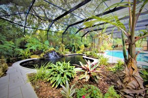 Backyard paradise - Hive Outdoor Living
